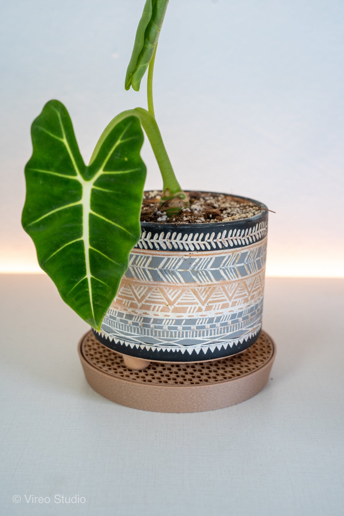 Plant Suacer & Drip Tray Duo