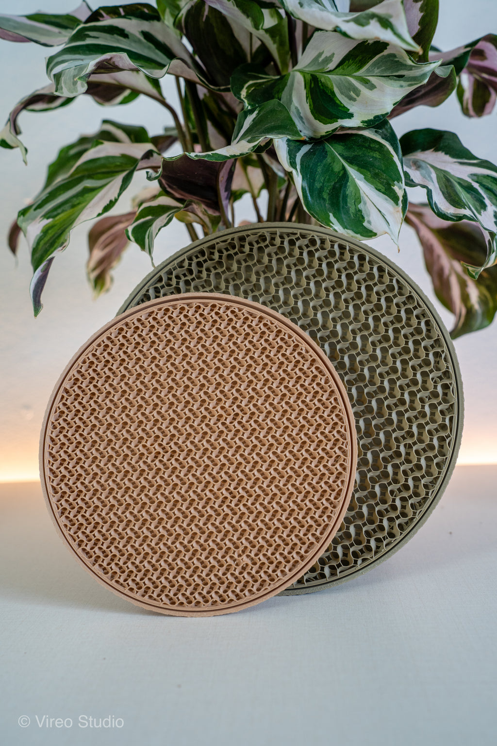 Plant Suacer & Drip Tray Duo