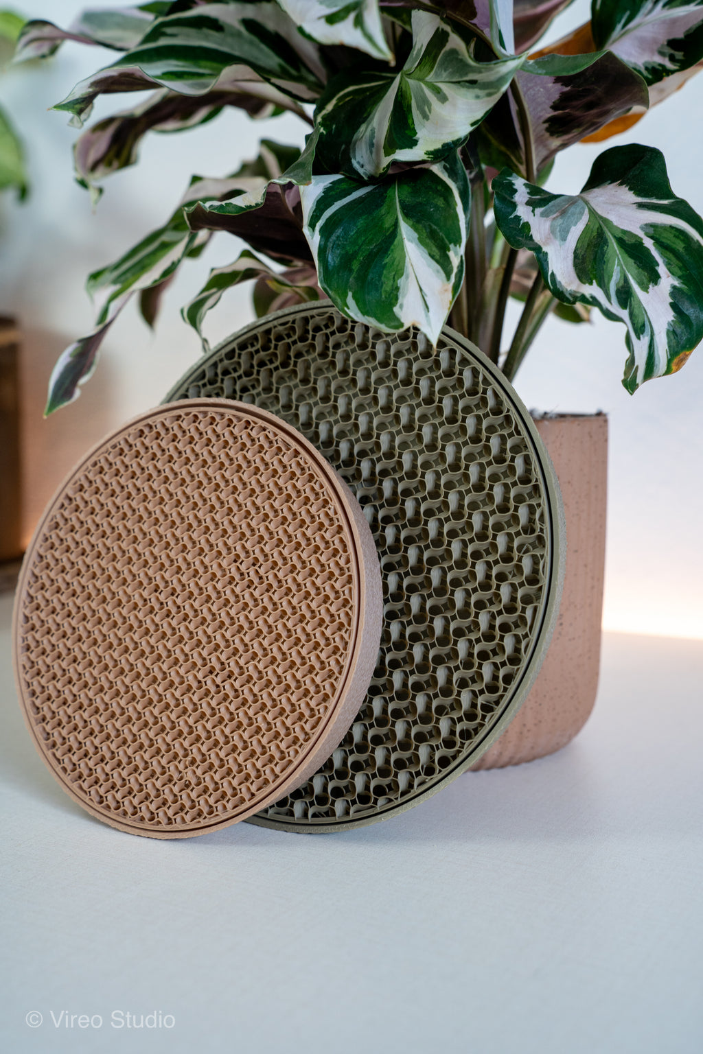 Plant Suacer & Drip Tray Duo