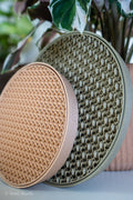 Plant Suacer & Drip Tray Duo