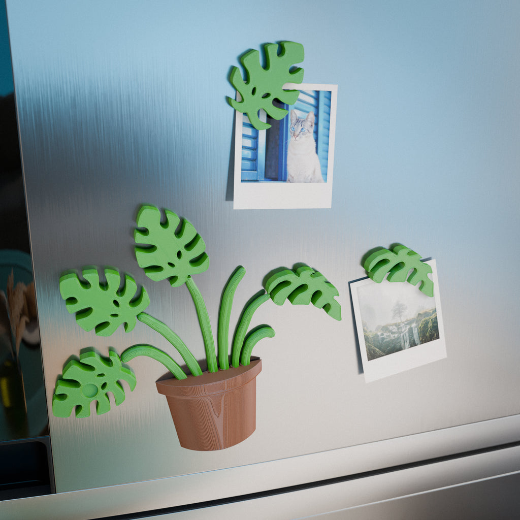 Monstera Fridge Magnet Set