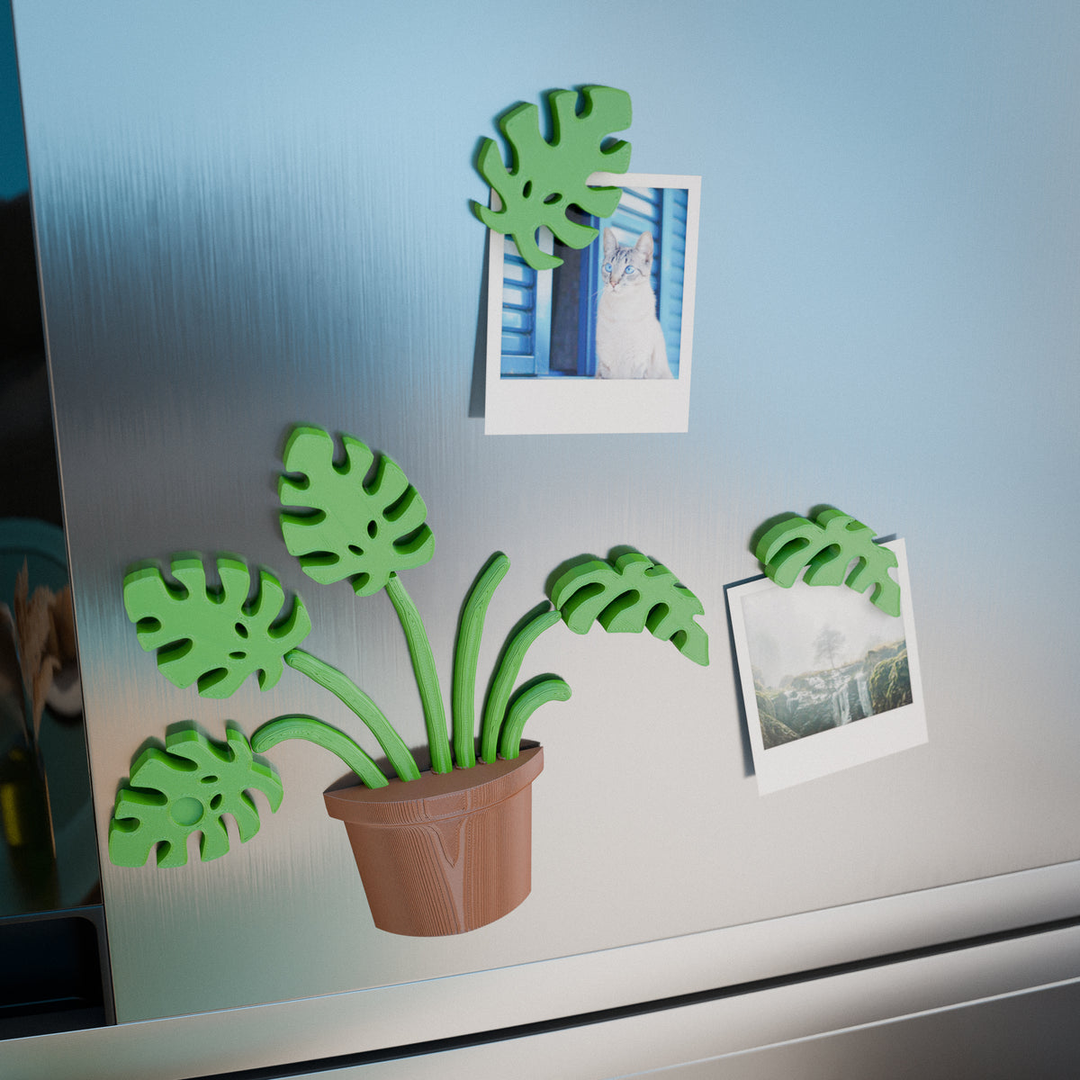 Monstera Fridge Magnet Set